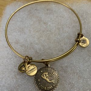 Alex and Ani Aquarius Bracelet